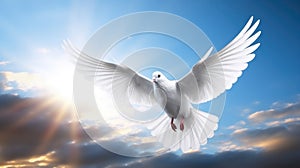 White dove with wings wide open in the blue sky