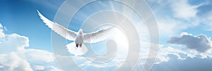 White dove with wings wide open in the blue sky air with clouds and sunbeams. Generative AI