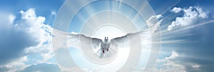 White dove with wings wide open in the blue sky air with clouds and sunbeams. Generative AI