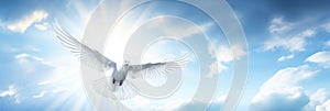 White dove with wings wide open in the blue sky air with clouds and sunbeams. Generative AI