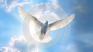 A white dove with wings wide open in the blue sky air with clouds and sunbeams. Spirit of god background banner panorama.