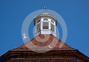 White doves at the historic octagonal dovecote in the walled garden at Felbrigg Hall near Cromer in North Norfolk. East Anglia, UK