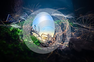 White dragon egg in the mist