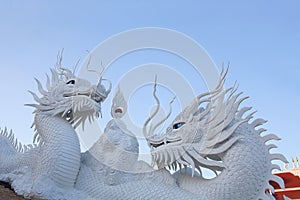 White Dragon Guard of Wat Huay Pla Kang, Big Buddha temple at sunset in Chiangrai, Thailand