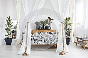 White drapes in bright bedroom