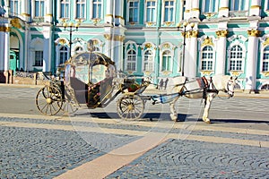 White dray horse with a carriage