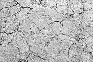 White dried and cracked earth background texture, Close-up of dry fissure ground, fracture surface