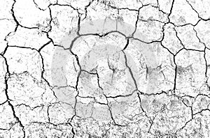 White dried and cracked ground earth background. Closeup of dry fissure ground. erosion