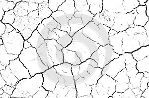 White dried and cracked ground earth background. Closeup of dry fissure ground. Gray crack on earth texture. erosion