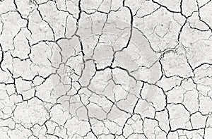 White dried and cracked ground earth background. Closeup of dry fissure ground. Gray crack on earth texture. erosion