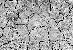 White dried and cracked ground earth background. Closeup of dry fissure ground. Gray crack on earth texture. erosion