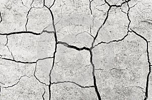 White dried and cracked ground earth background. Closeup of dry fissure ground. Gray crack on earth texture. erosion