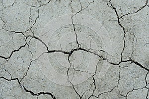 White dried and cracked ground. erosion earth background. cracked dry wall surface. white natural cracked texture