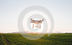 White drone flyingover the green field with wheat on sunset. Drone Quad copter flying through the sunrays over the meadow with
