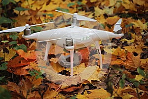 White drone standing in yellow autumn leaves