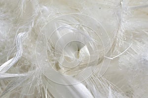 White duck feathers with visible details. background or texture