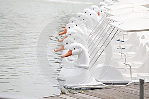 White duck pedal boats