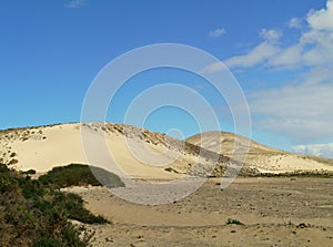 The white dunes of Costa Calma on Fuerteventura photo