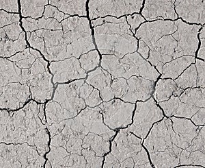 White earth with cracks texture background