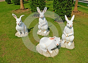 White Easter Bunny Gangs on The Ground