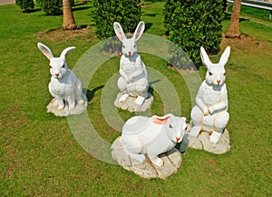 White Easter Bunny Gangs on The Ground photo