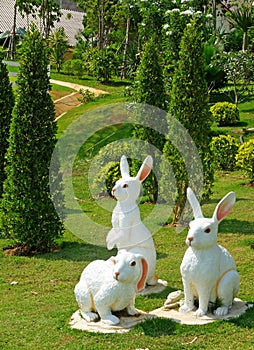 White Easter Bunny Gangs on The Ground photo
