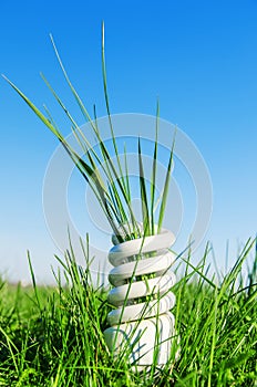 White eco-bulb in green grass