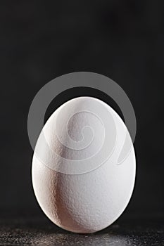 White egg against dark backgrounds