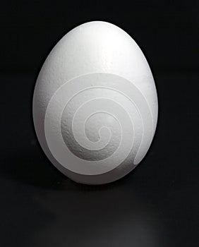 White egg on black background