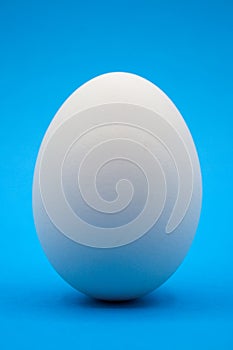 White egg with blue background.
