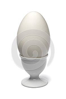 White egg cup with fresh picked goose egg close up on white background