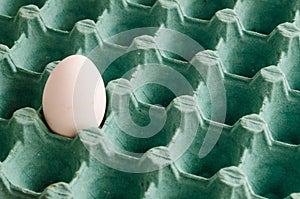 A white egg in an empty green egg carton