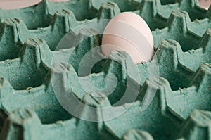 A white egg in an empty green egg carton