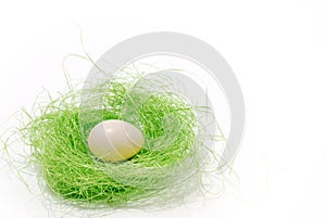 White egg in a green nest