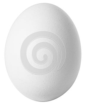 White egg isolated on white background