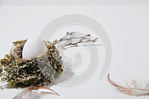 White egg lies in a bird`s nest on a white background. Feathers lie nearby. In the background are willow twigs, blurred focus.