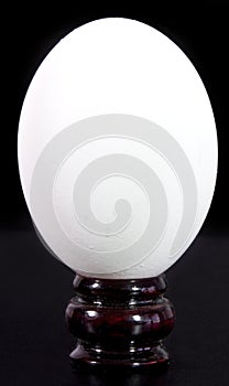 White Egg on Pedestal