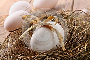 White egg with straw bow in nest