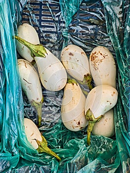 White Eggplants or Aurbergines, For Sale at Greek Street Market