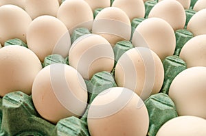 White eggs arranged together in a green egg carton