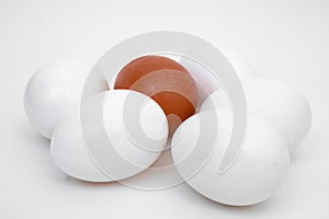 White eggs, brown egg, background