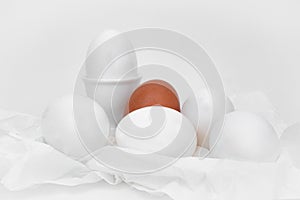 White eggs, brown egg, contrast, white