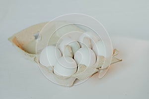 6 white eggs in a cardboard box