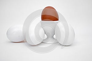 White eggs, cup, brown egg, white