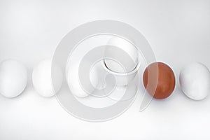 White eggs, cup,, brown egg, egg