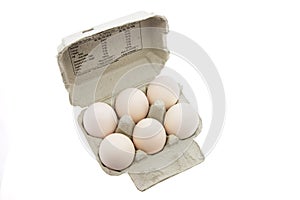 White Eggs on Egg Carton