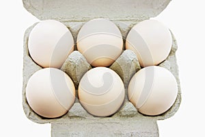 White Eggs on Egg Carton