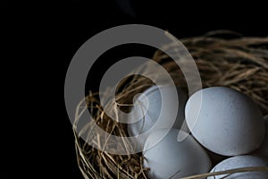 White eggs in a eggs hay on a black background, close up, isolated