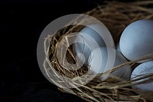 White eggs in a eggs hay on a black background, close up, macro