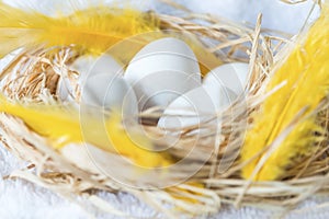 White eggs in a eggs hay on a white background, close up, isolated